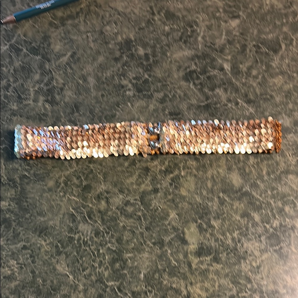 Sequin Belt in Gold and silver